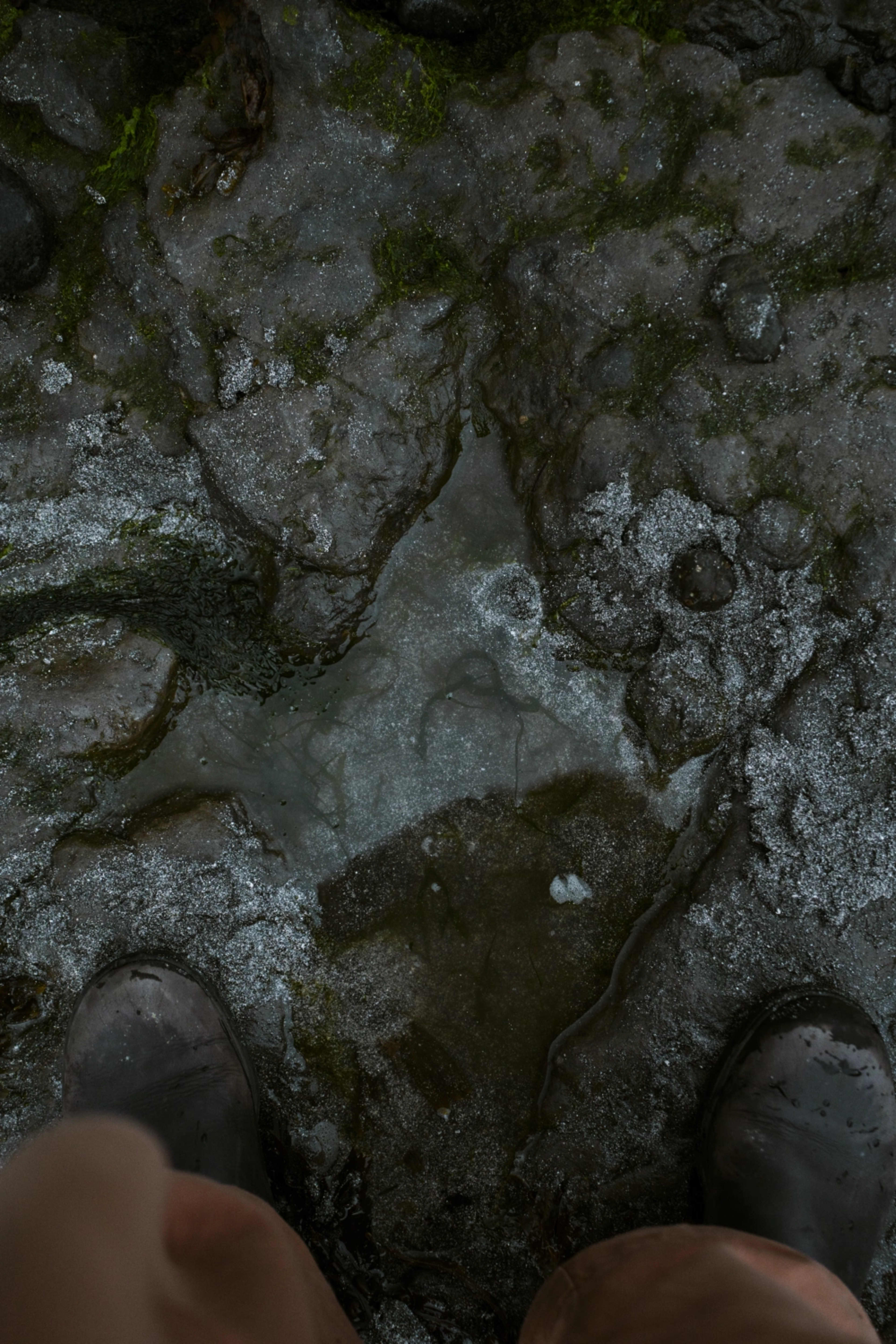 Uploaded image 0