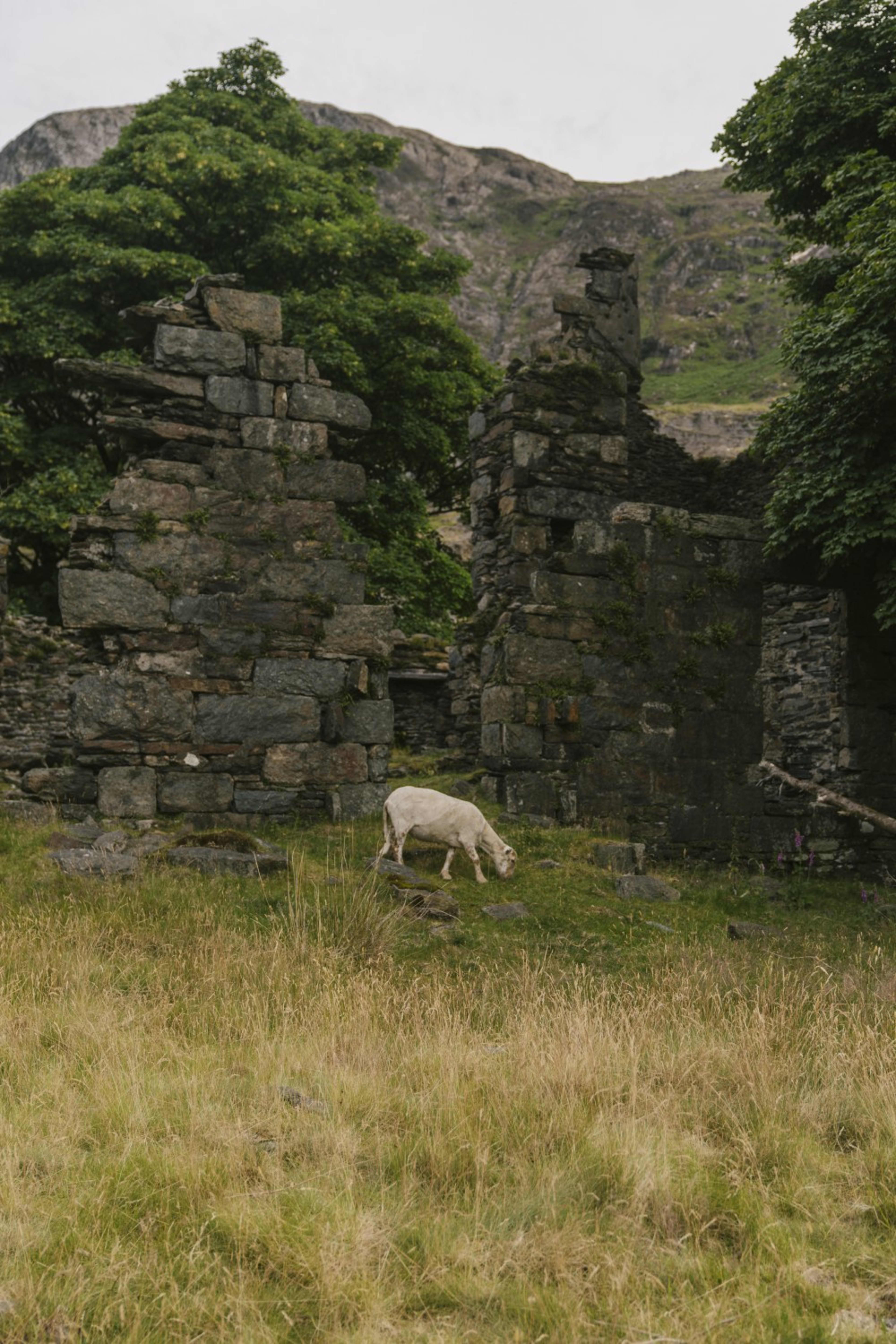 Uploaded image 1