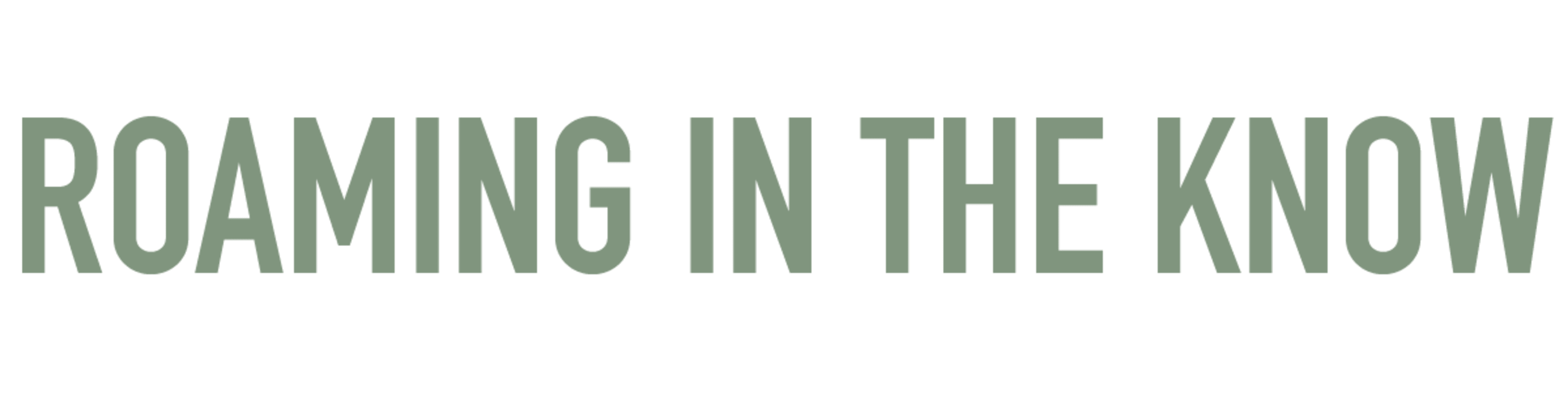 Logo Text