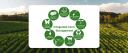 Ubah Halaman Jadi Sumber Cuan! Panduan Lengkap Integral Farming dari Rumah 