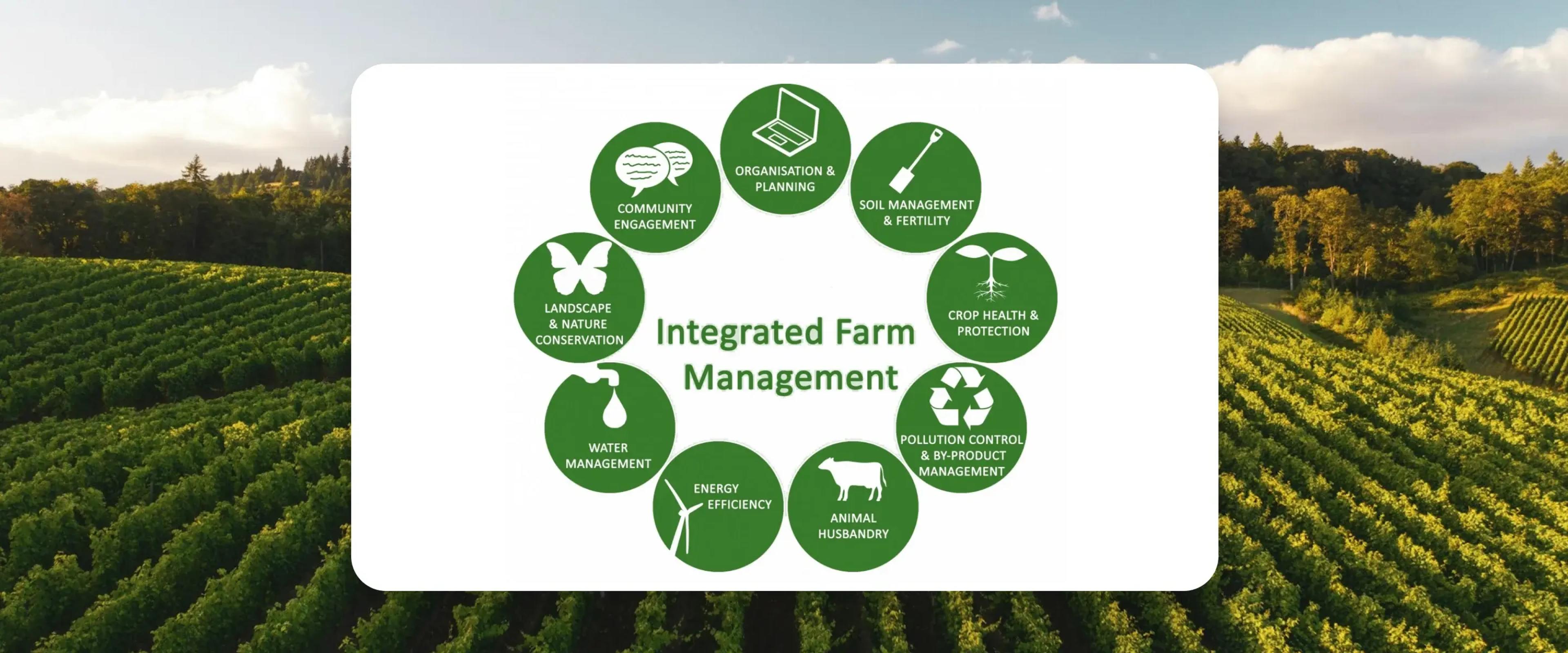 Ubah Halaman Jadi Sumber Cuan! Panduan Lengkap Integral Farming dari Rumah 