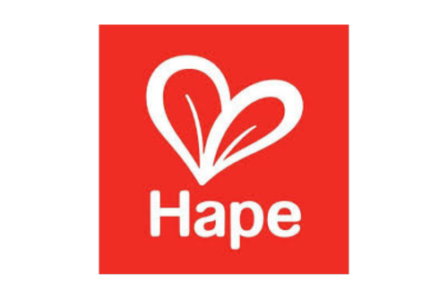 Hape Toys