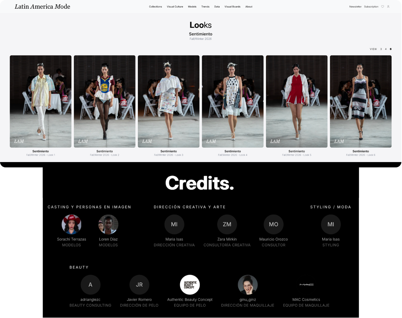 LAM looks preview