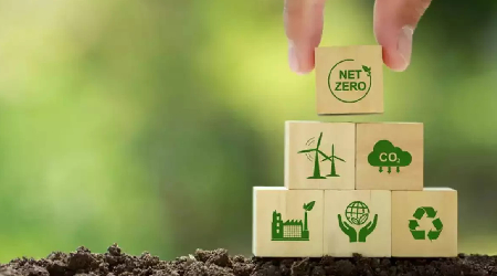 Carbon Credit Development and Handholding