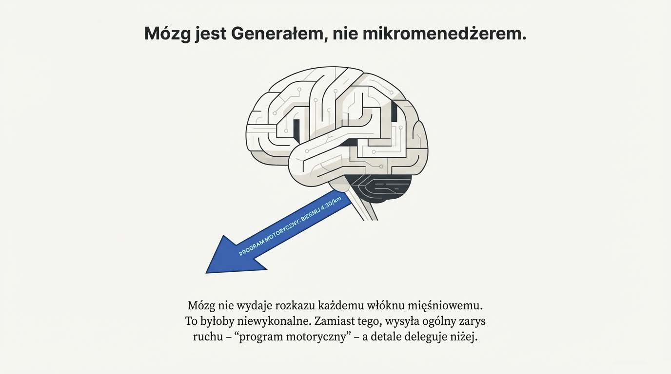 Mózg wysyłający program motoryczny