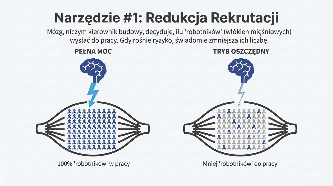 Mózg odcinający prąd mięśniom