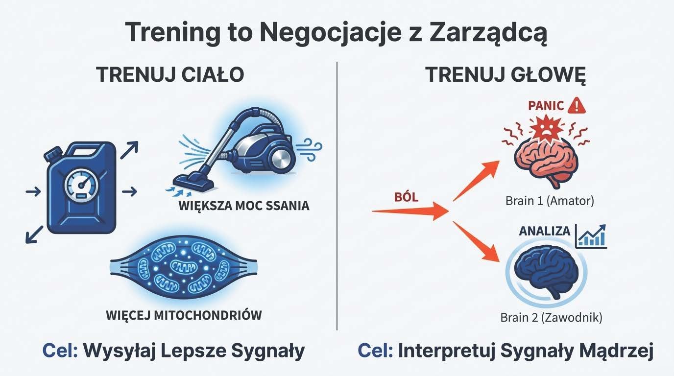 Mózg amatora ulegający panice vs analityczny mózg zawodowca