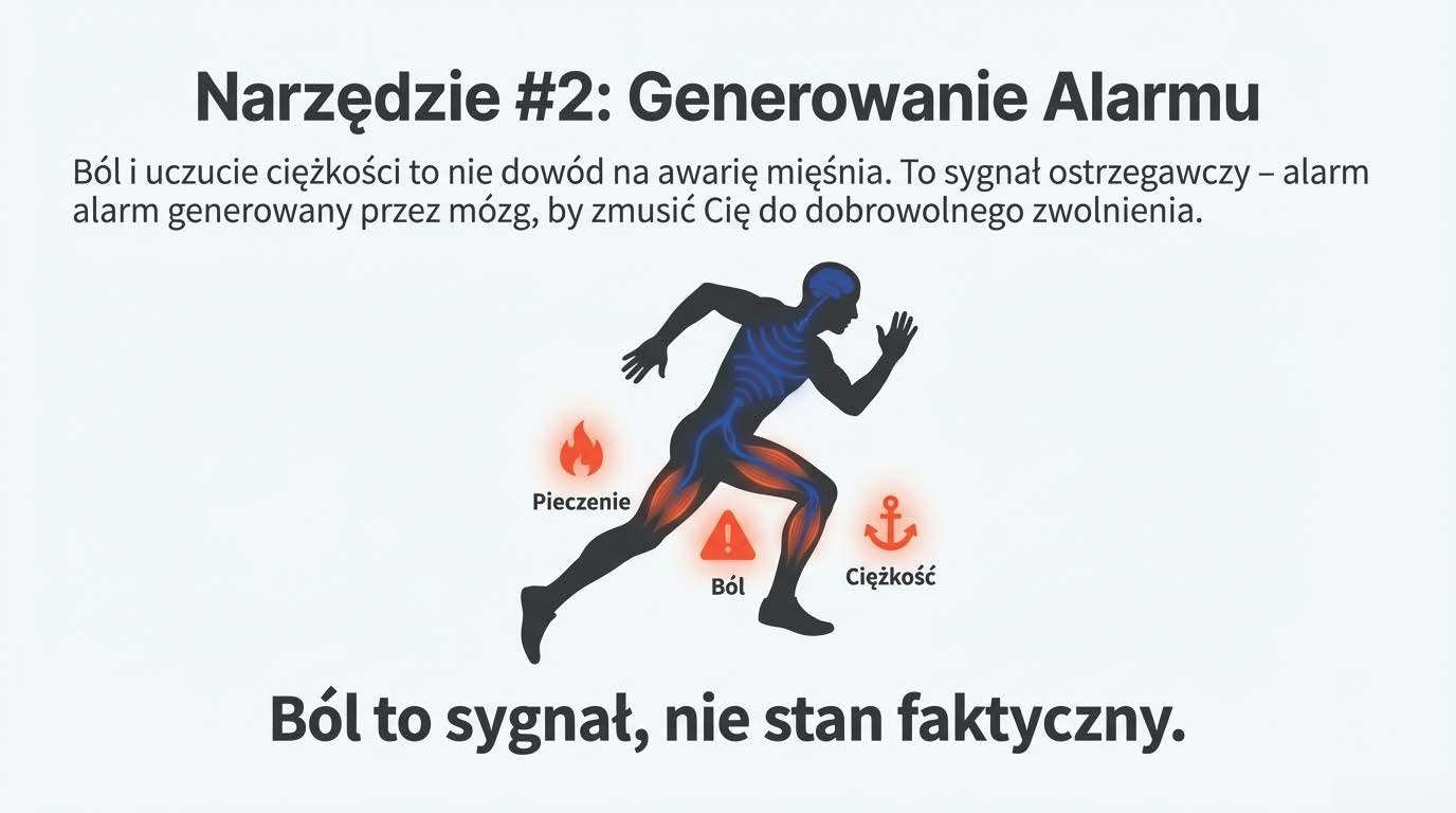 Ból i ciężkość to sygnały ostrzegawcze z mózgu