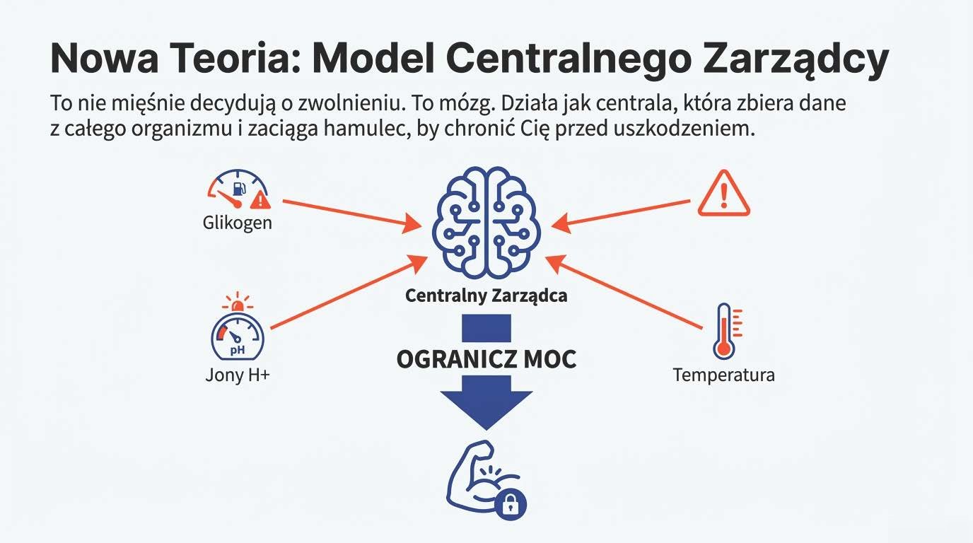 Mózg analizujący sygnały ostrzegawcze z organizmu