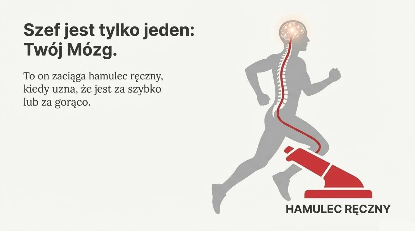 Twój mózg zaciąga hamulec ręczny