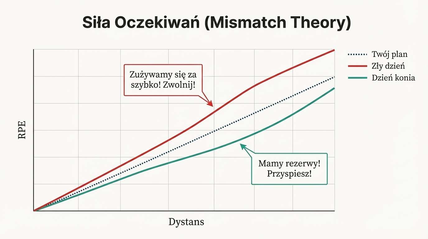 Alarm mózgu zmuszający do zwolnienia tempa