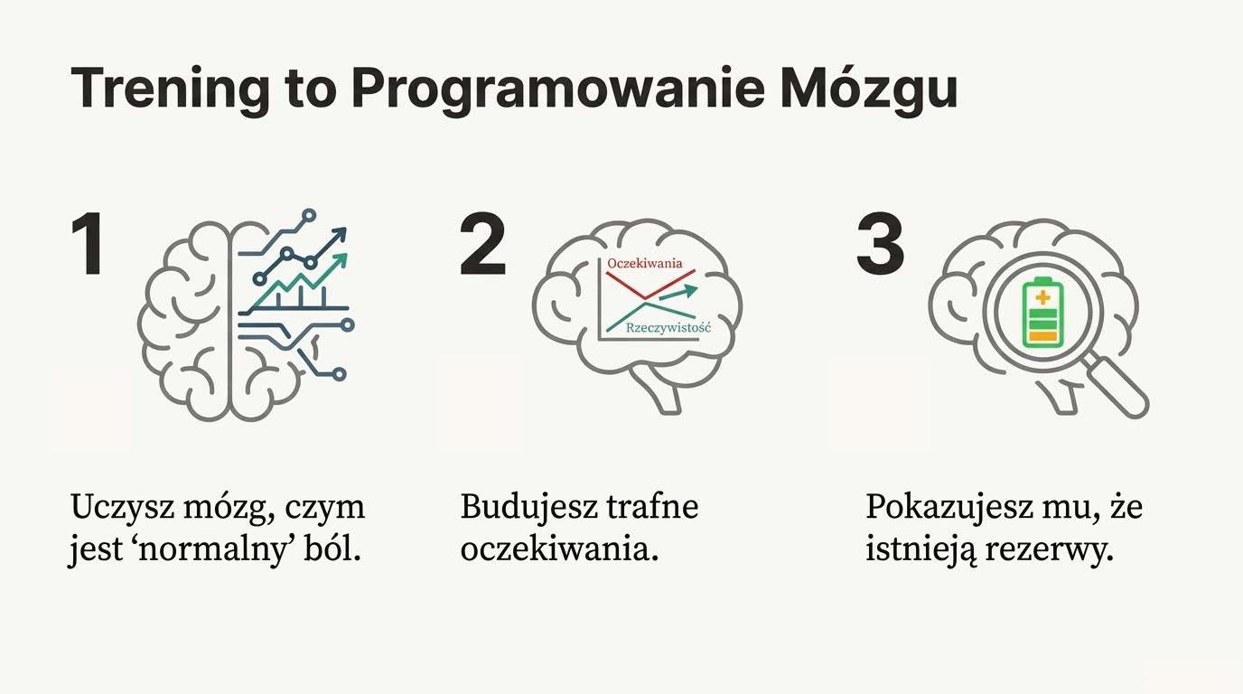 Mózg wyłącza prąd ratując życie