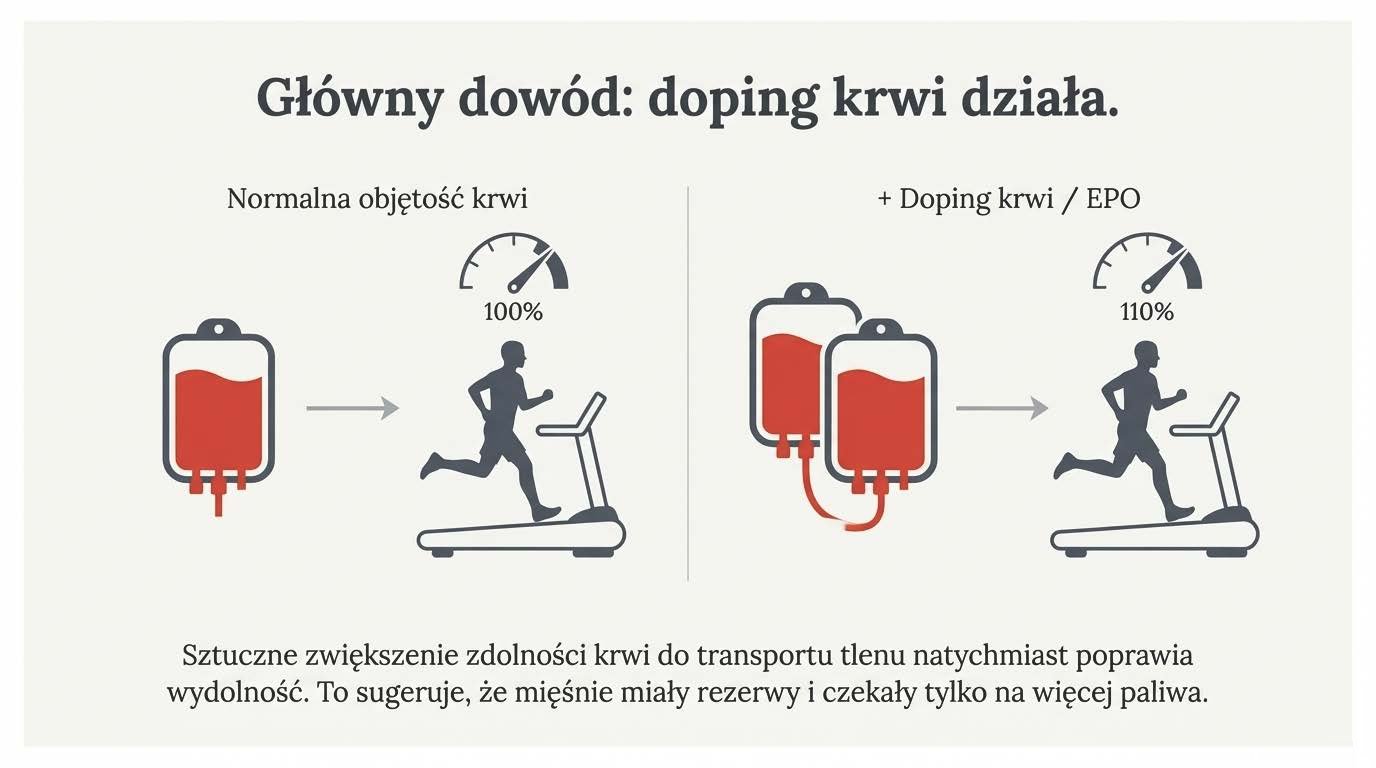Sztuczne zwiększenie objętości krwi a wydajność