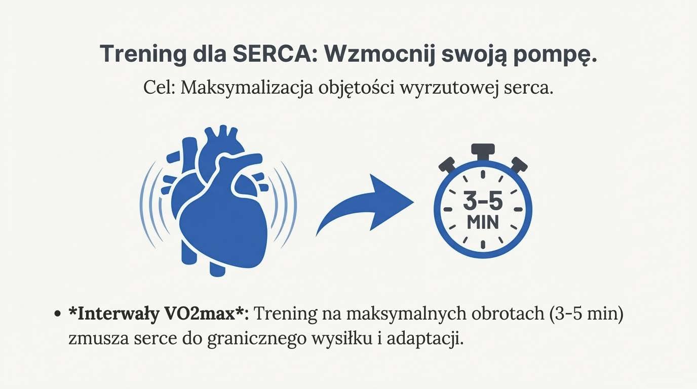 Interwały VO2max trenują serce jako wydajną pompę