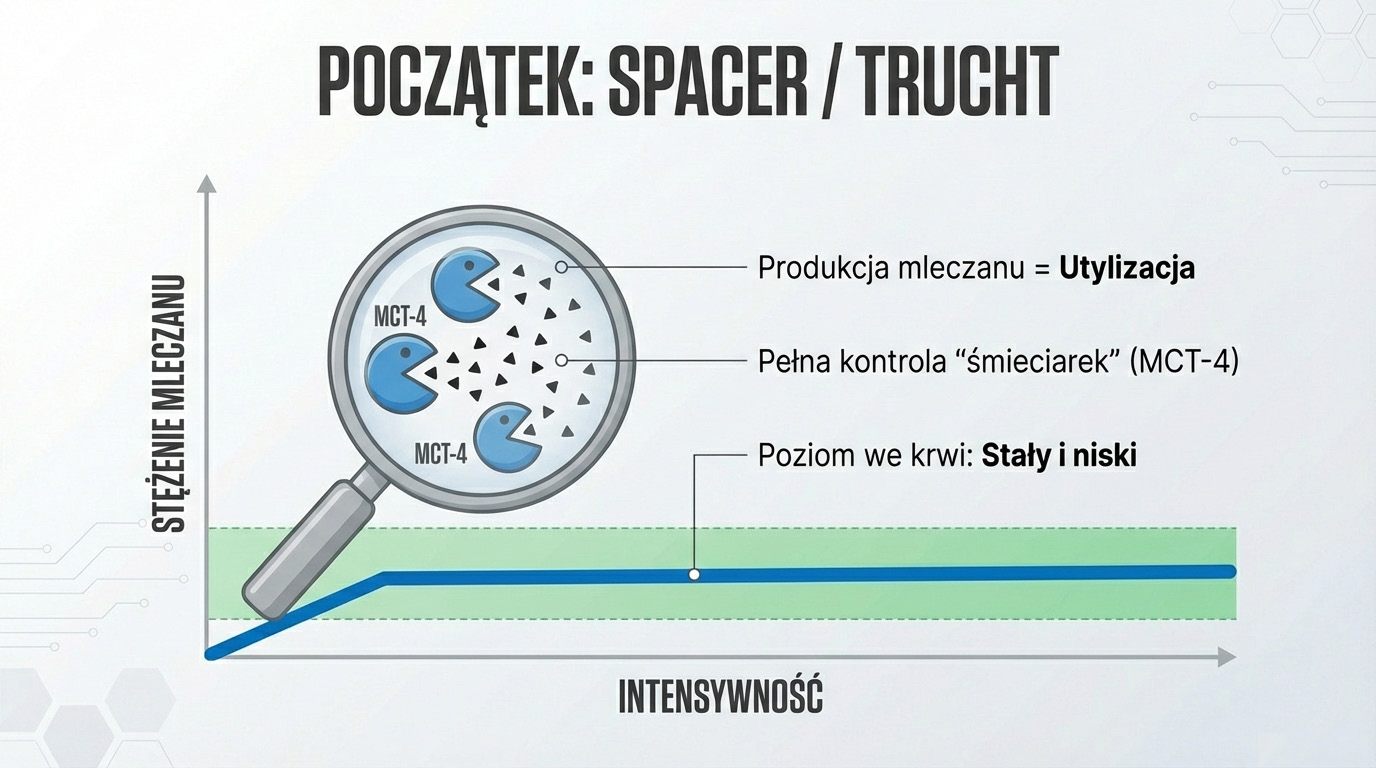 Próg tlenowy LT1 symbolizujący spokojną jazdę