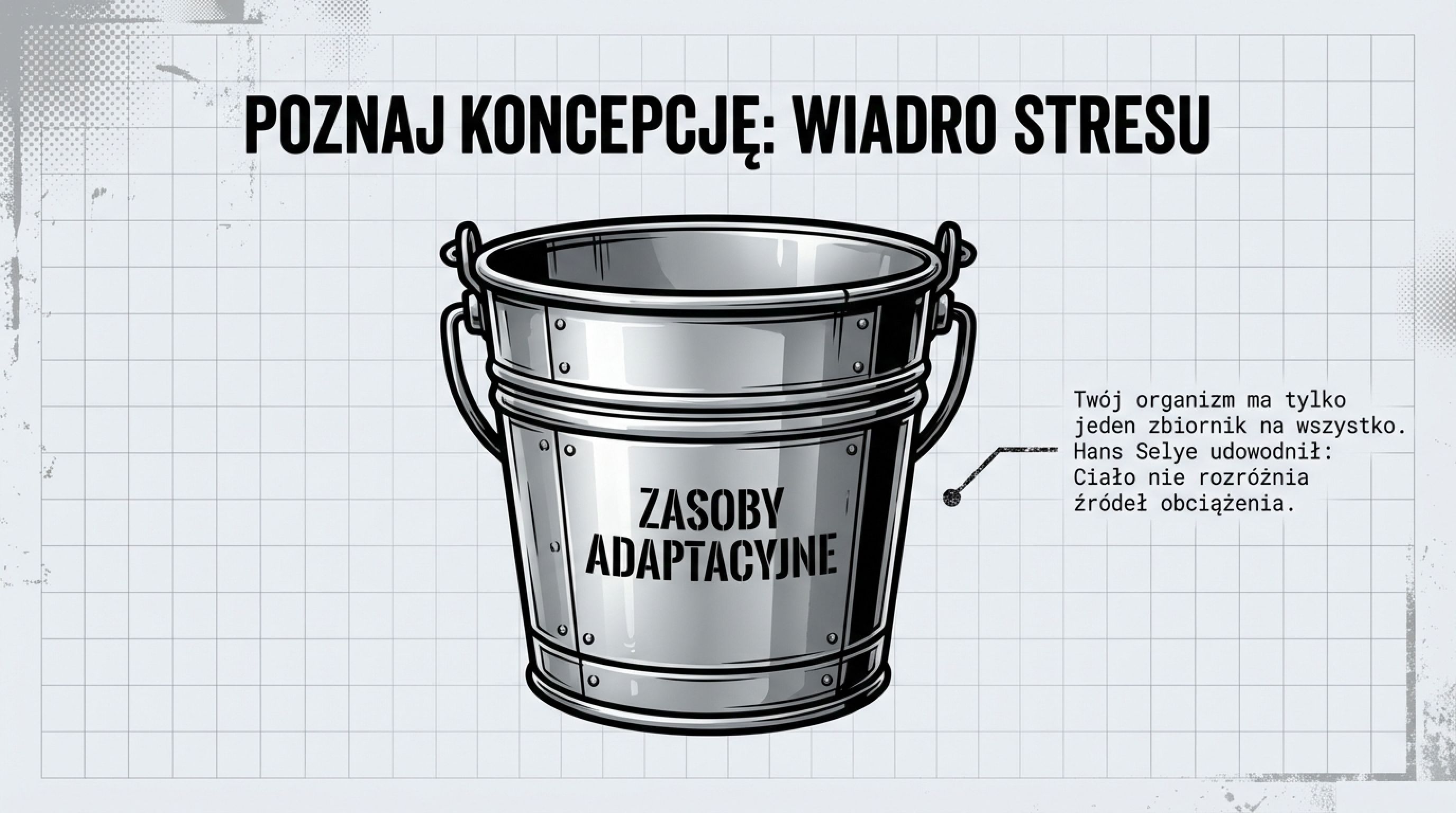 Koncepcja wiadra stresu - jeden zbiornik na zasoby adaptacyjne, Hans Selye