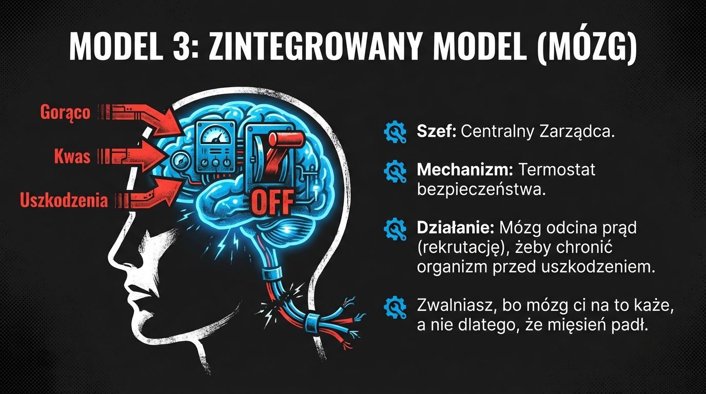 Model 3: zintegrowany model - mózg jako termostat bezpieczeństwa