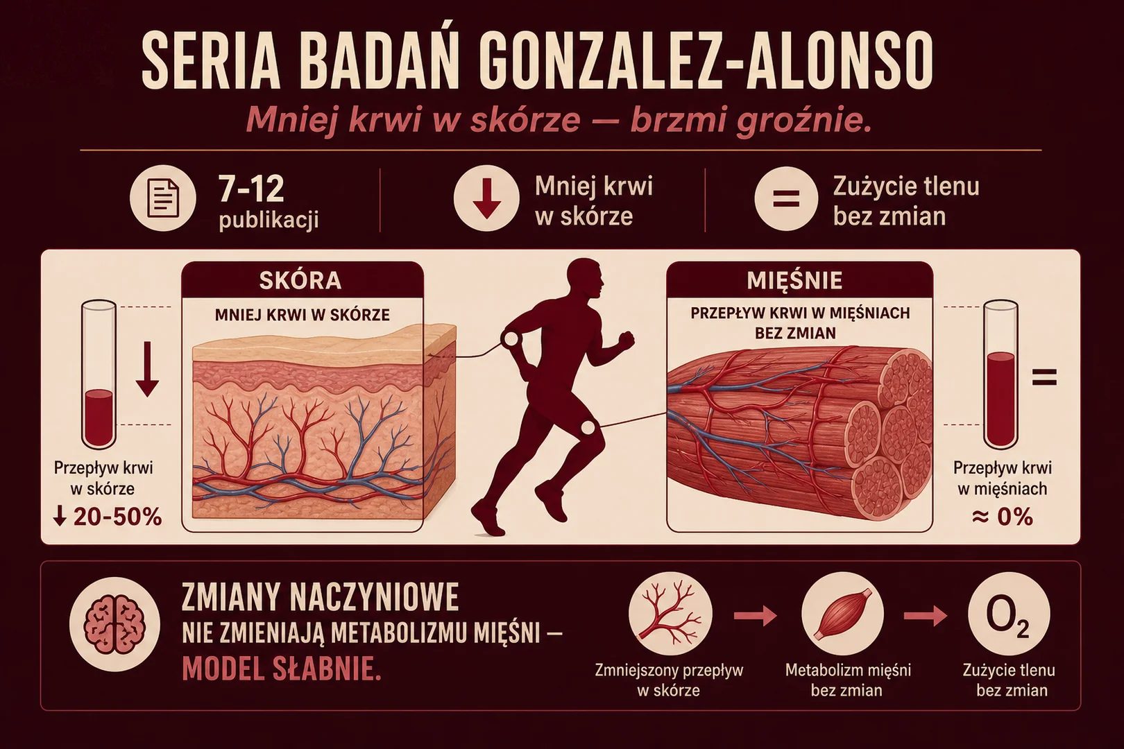 Seria badań Gonzalez-Alonso - mniej krwi w skórze, zużycie tlenu bez zmian
