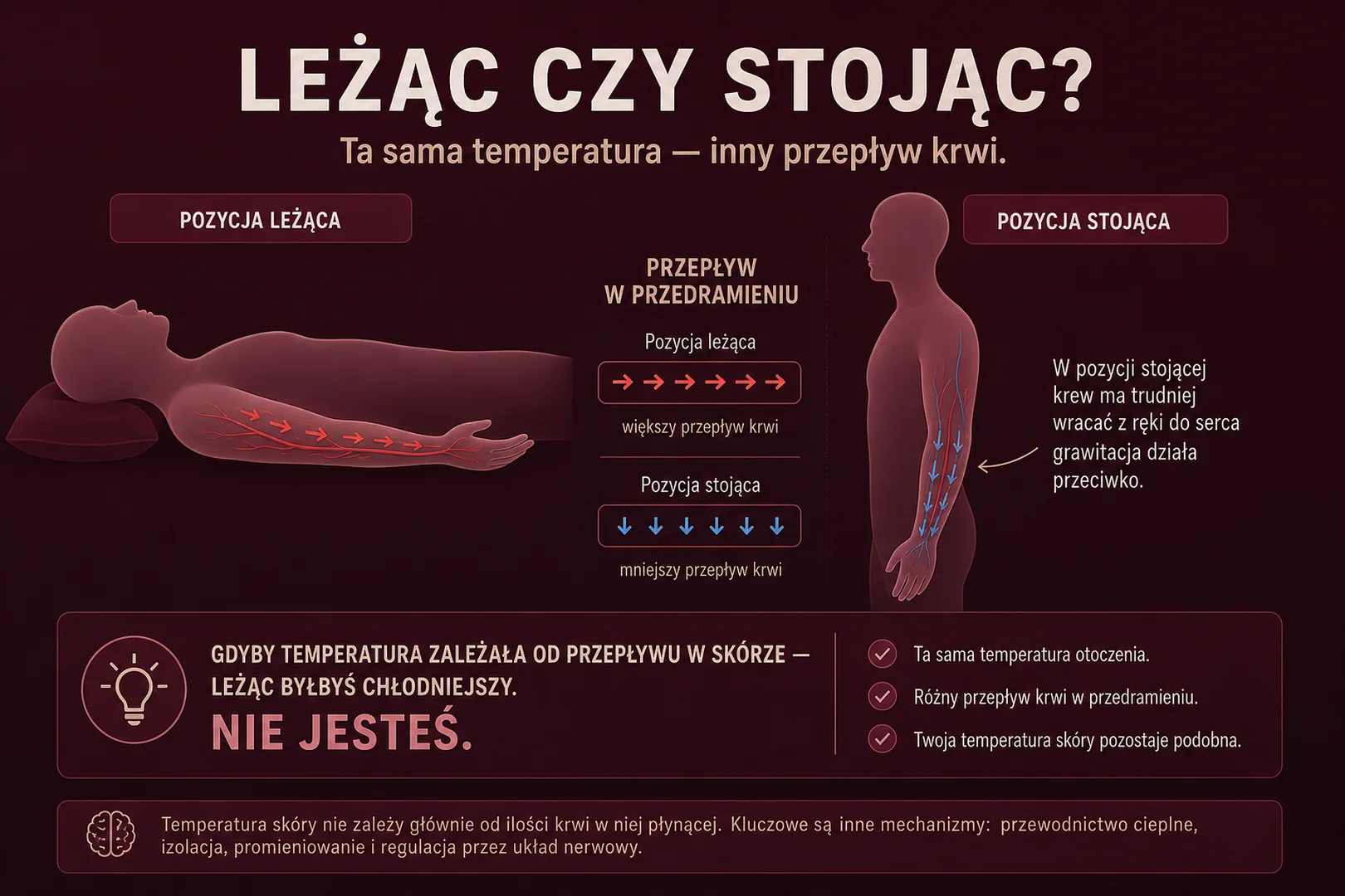 Leżąc czy stojąc - ta sama temperatura, inny przepływ krwi