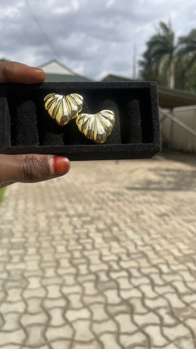 fashion earrings