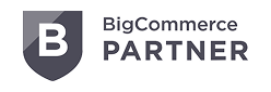 eCommerce Development in noida