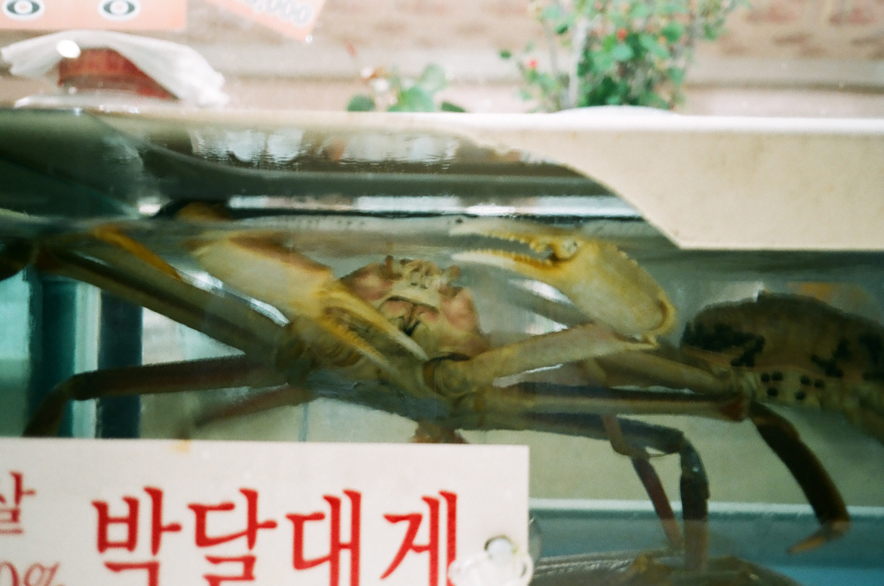 속초