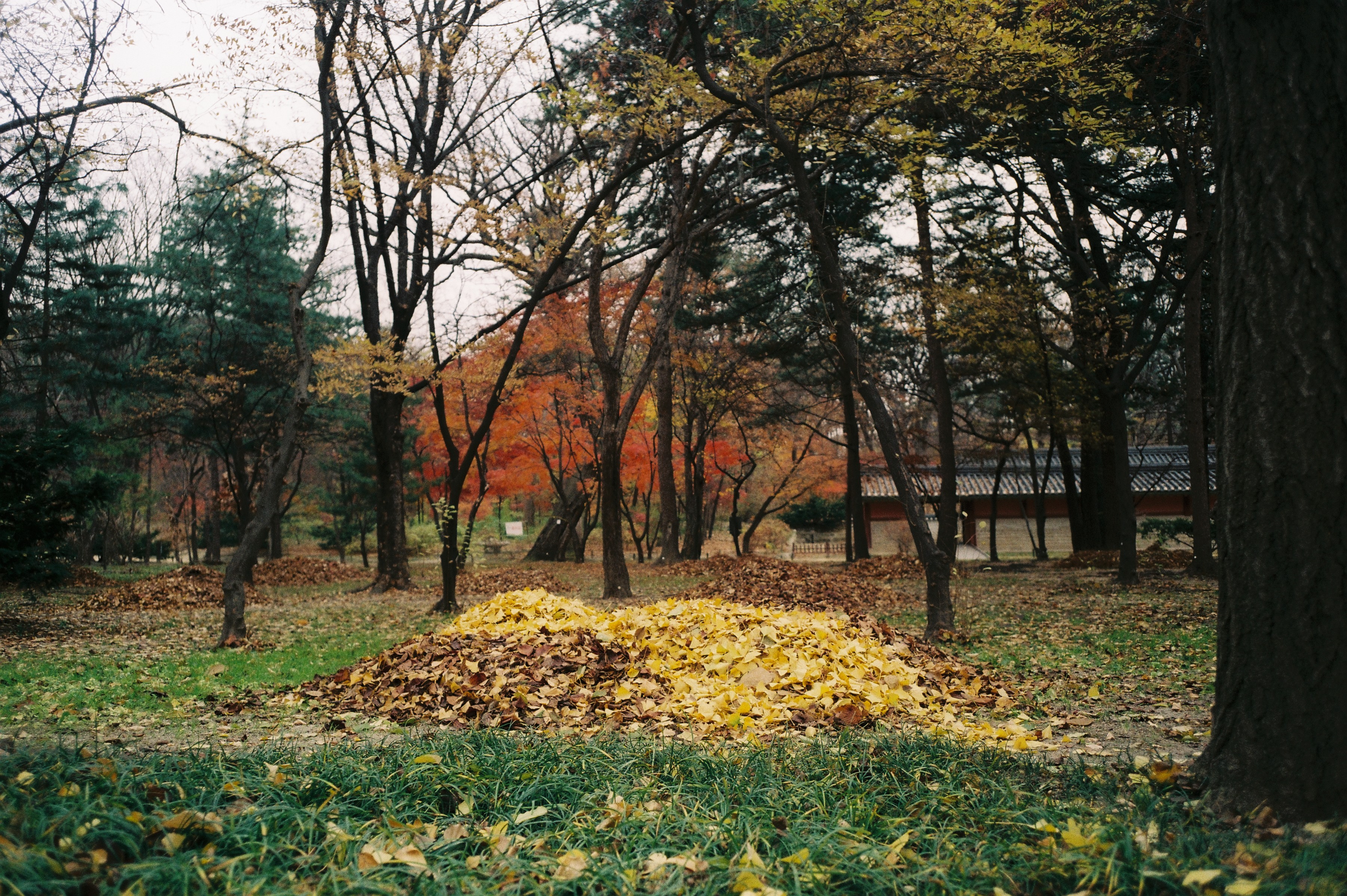 Grave