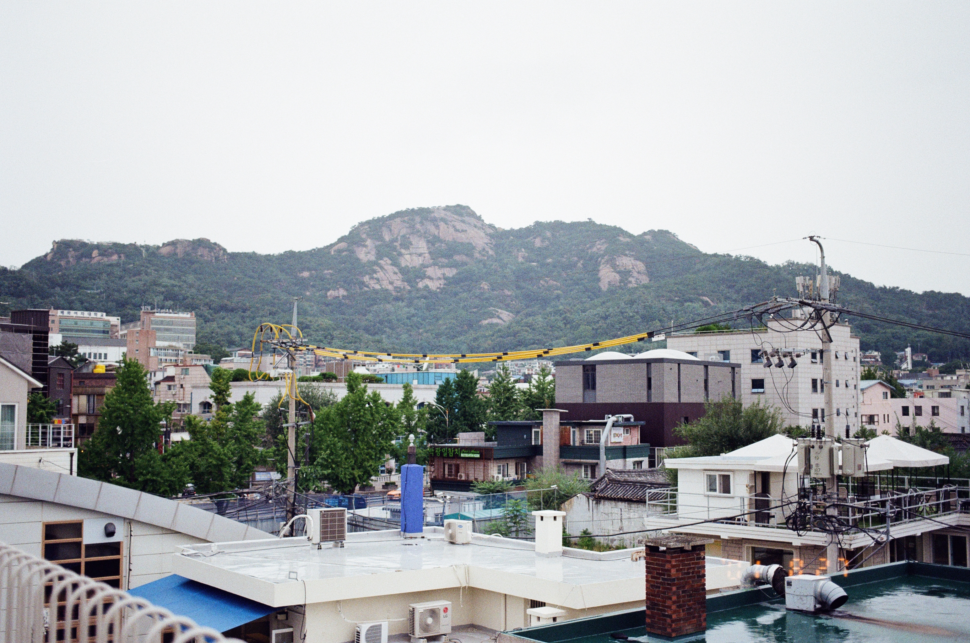 서울