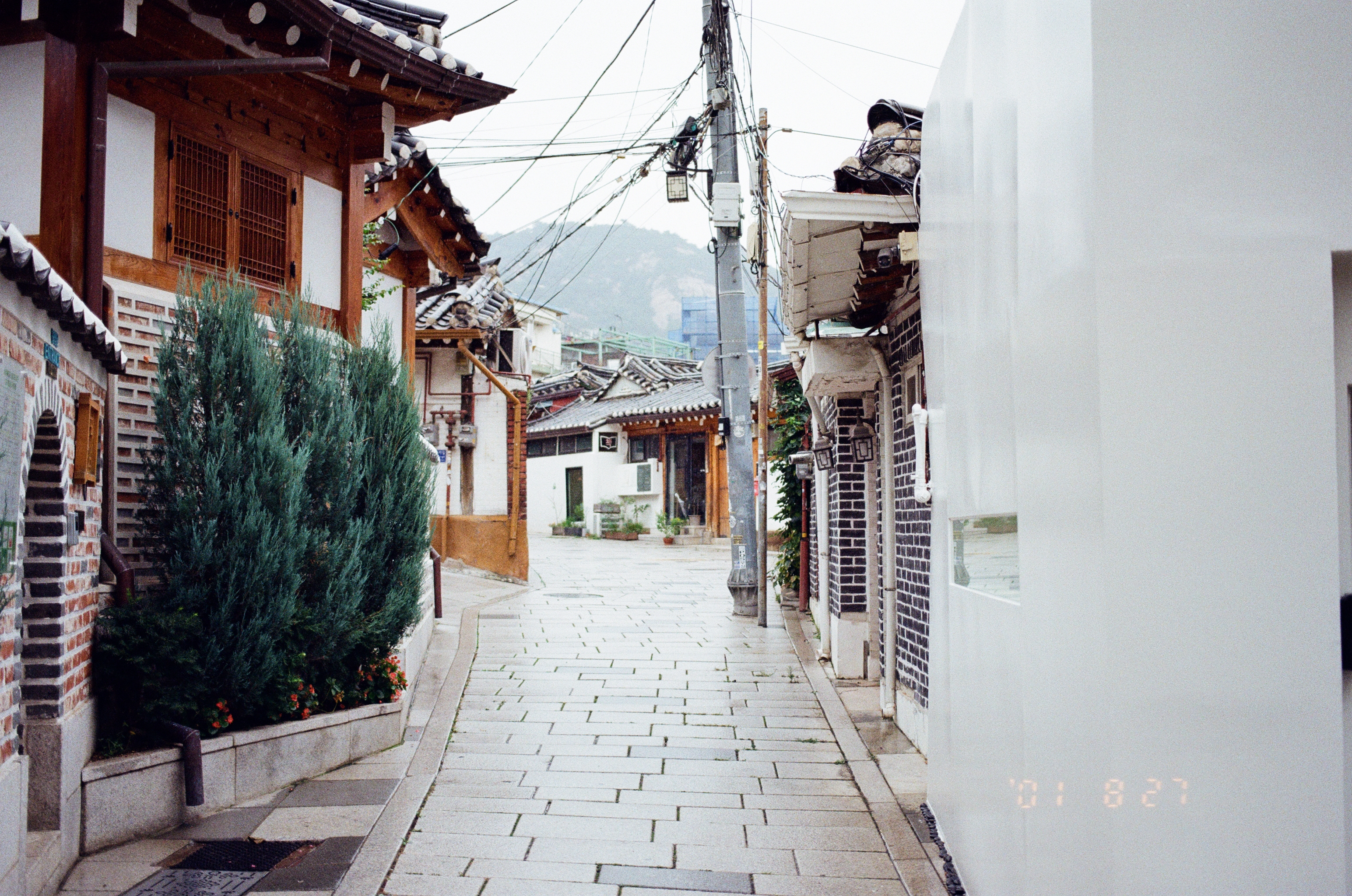 서울