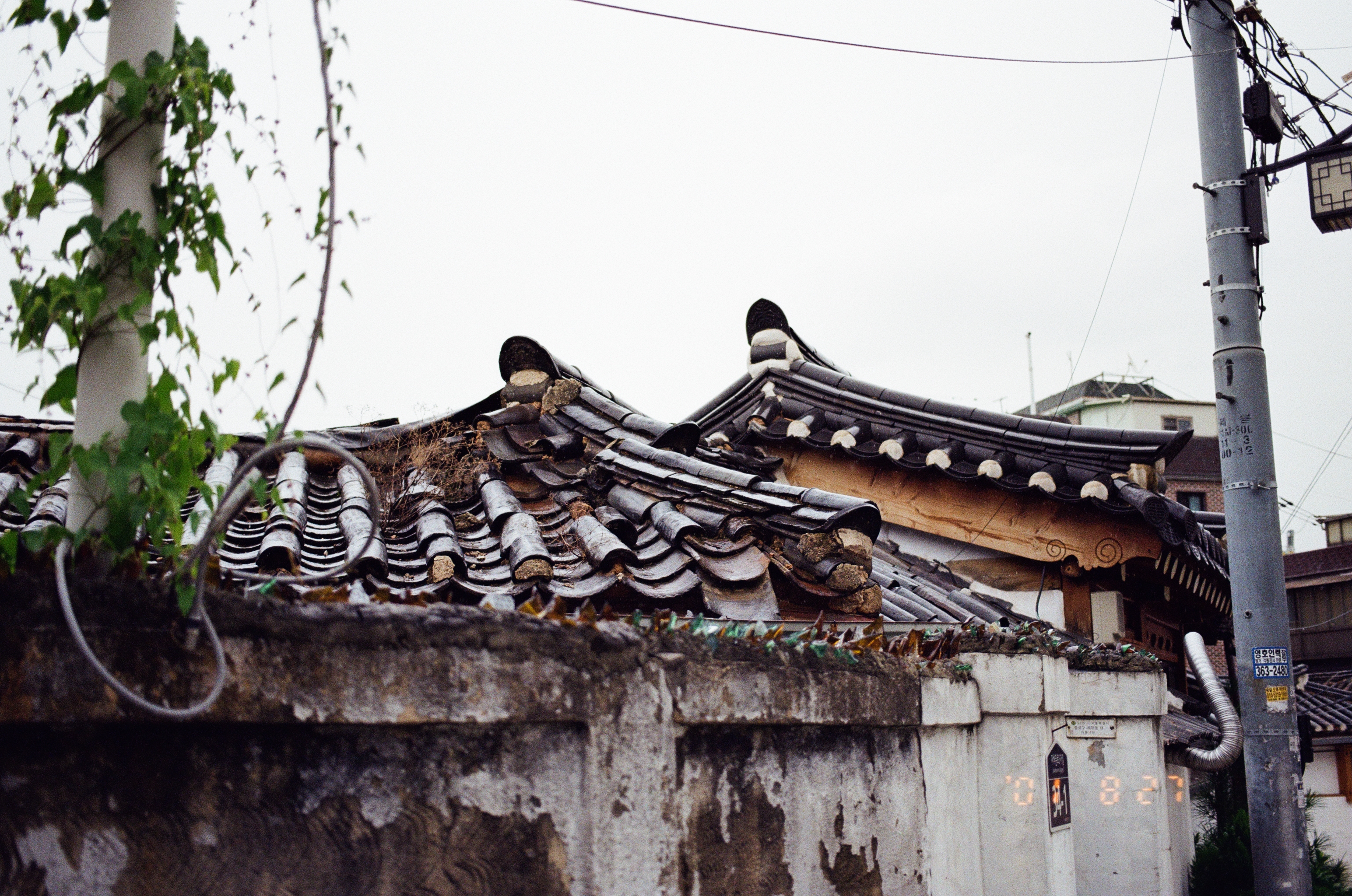 서울