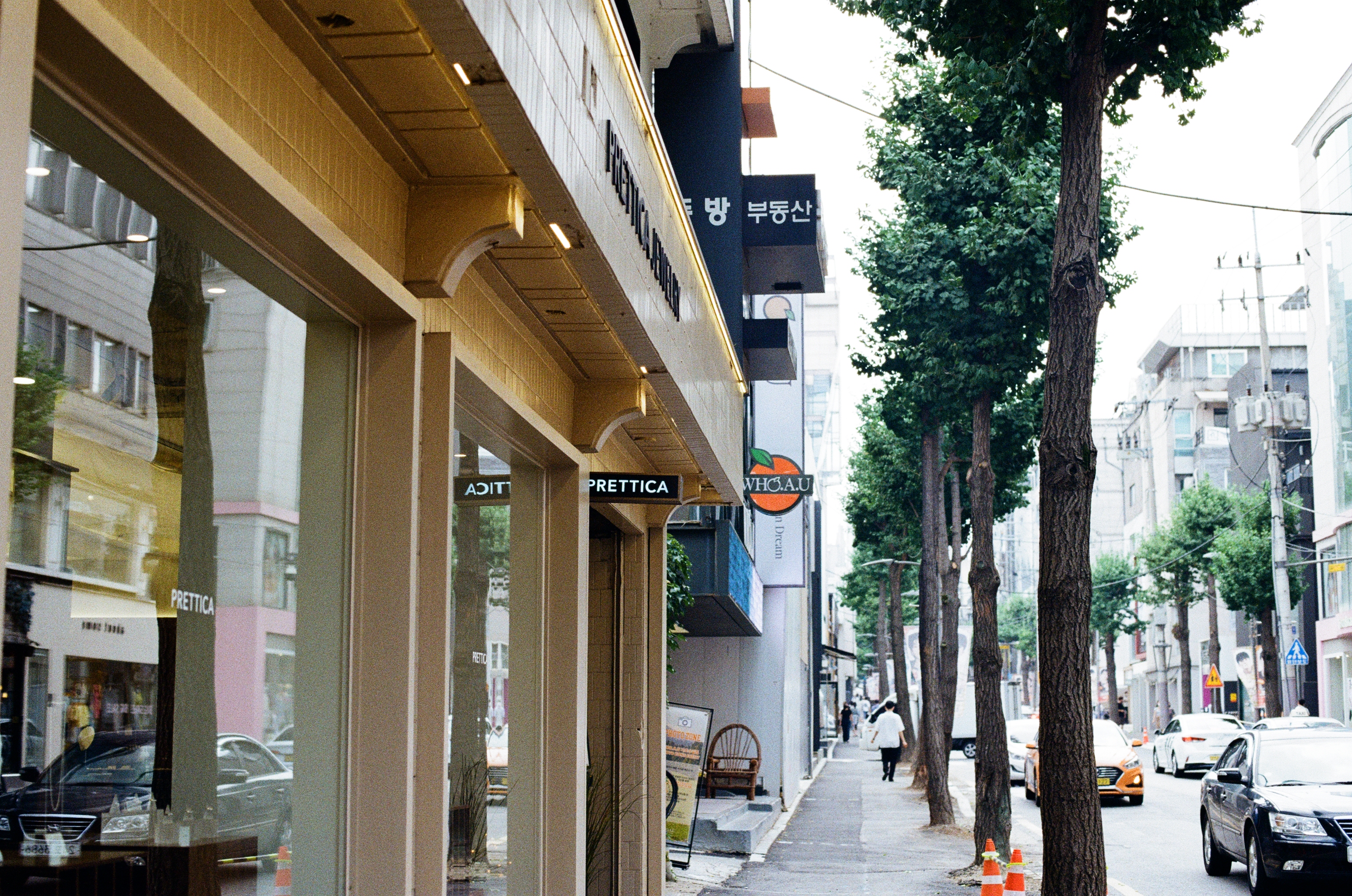 서울