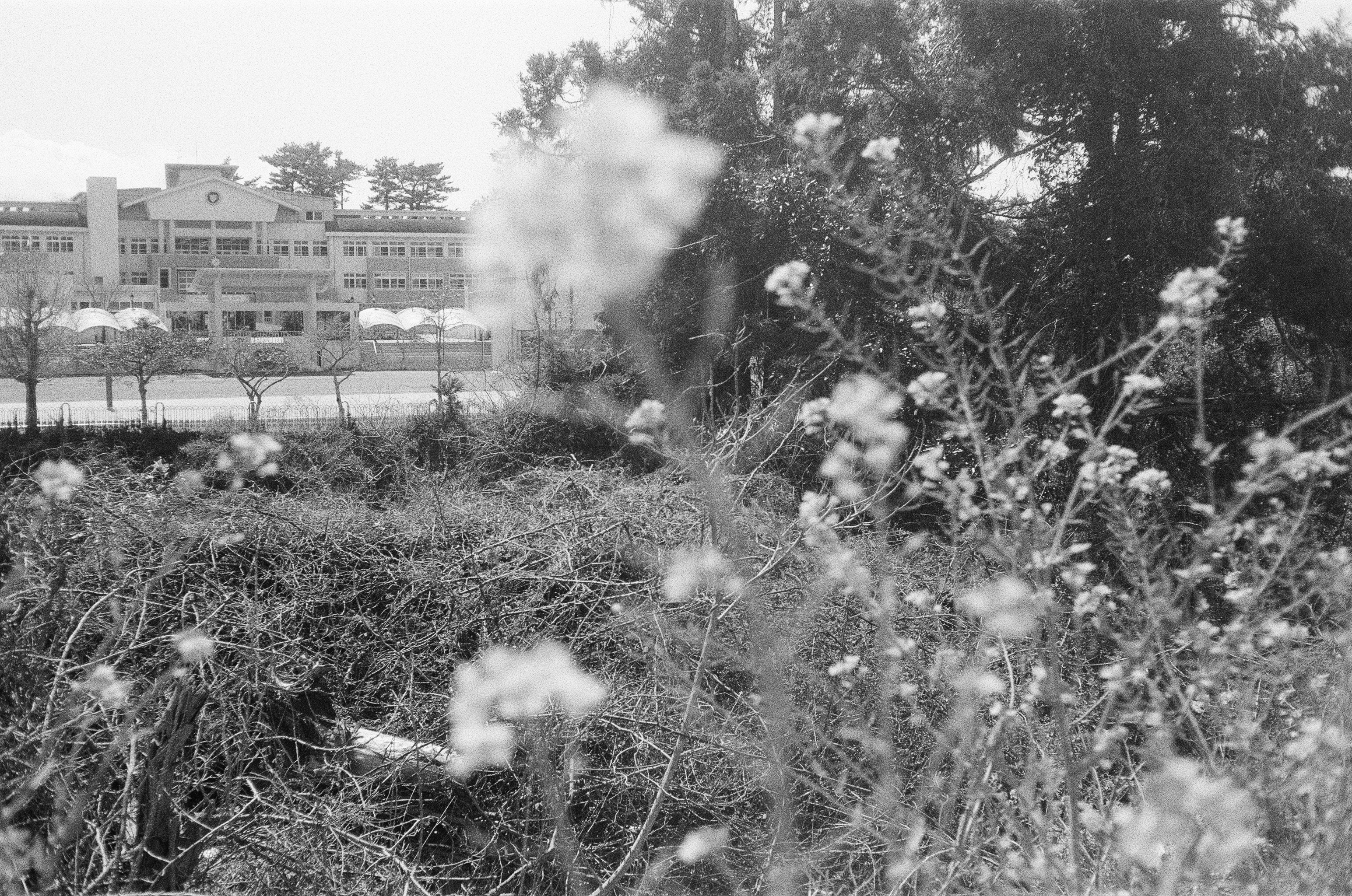 제주