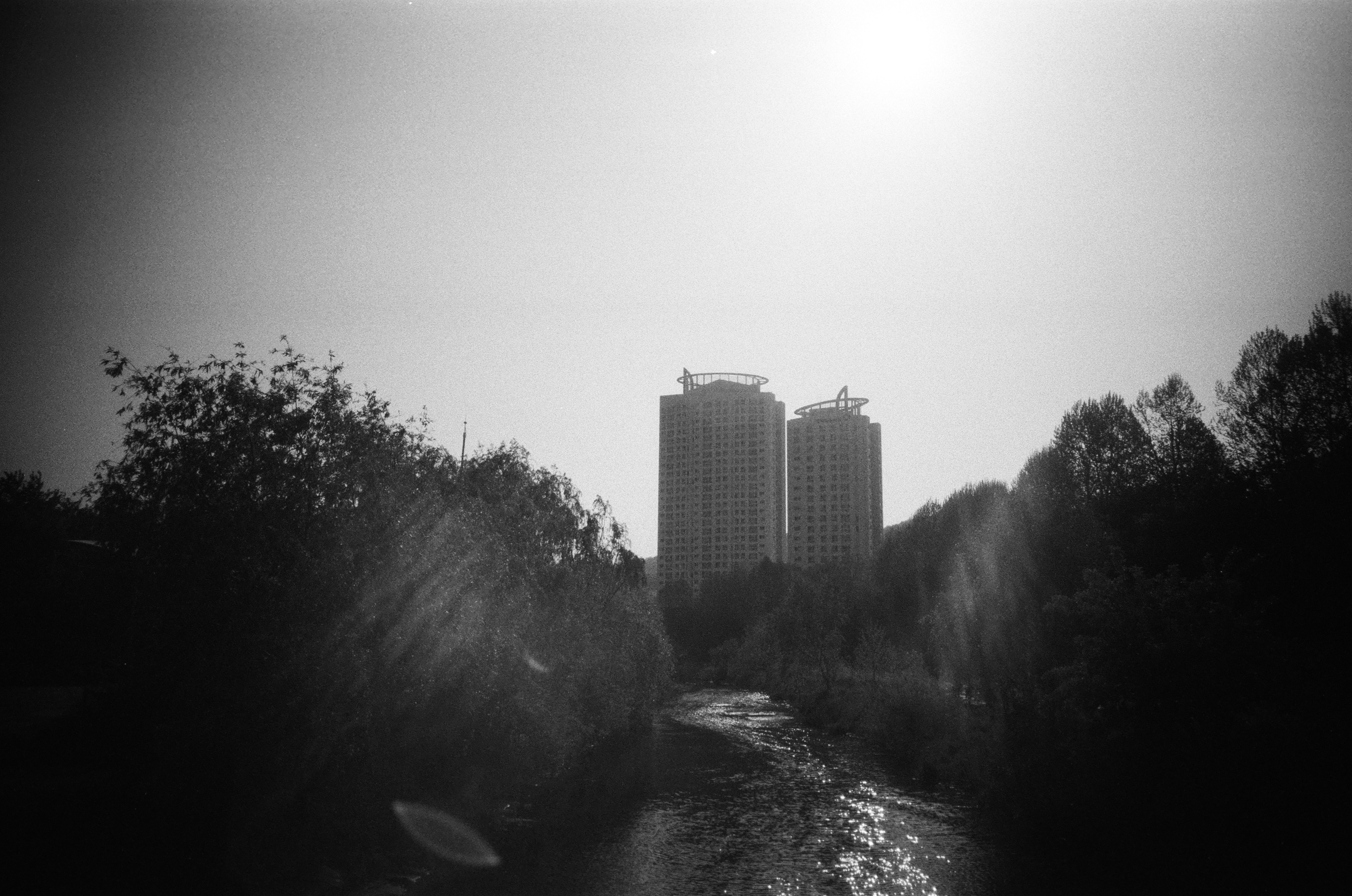 서울