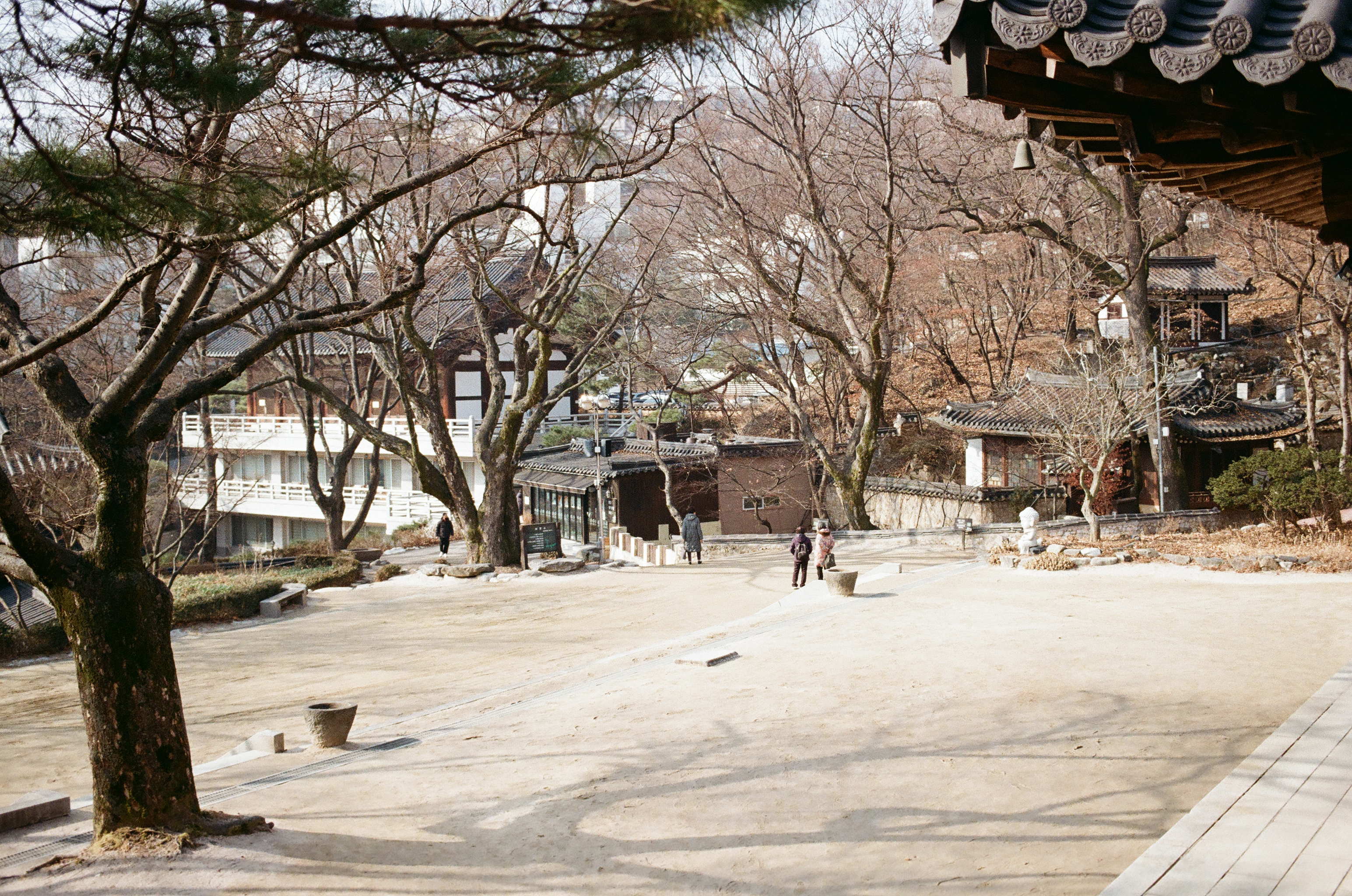 서울