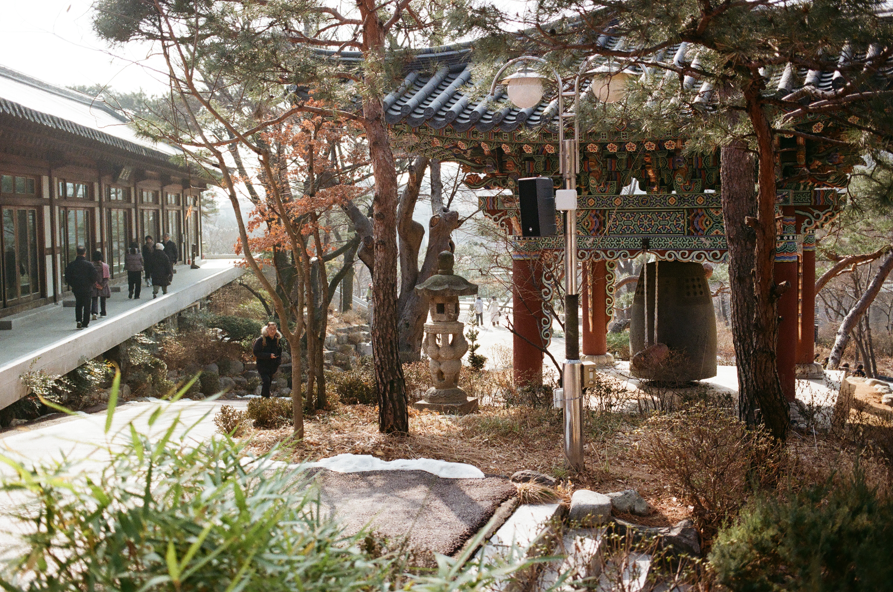서울