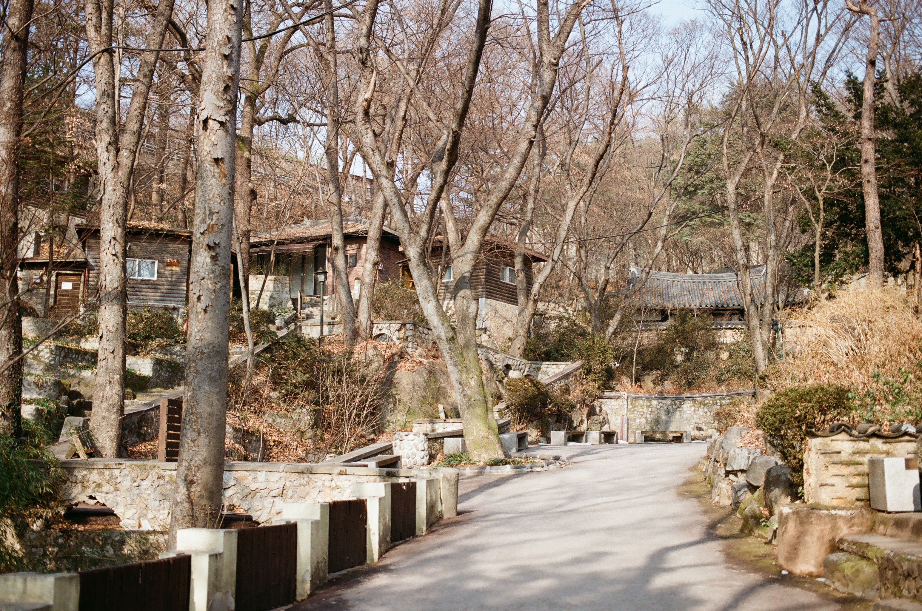 서울