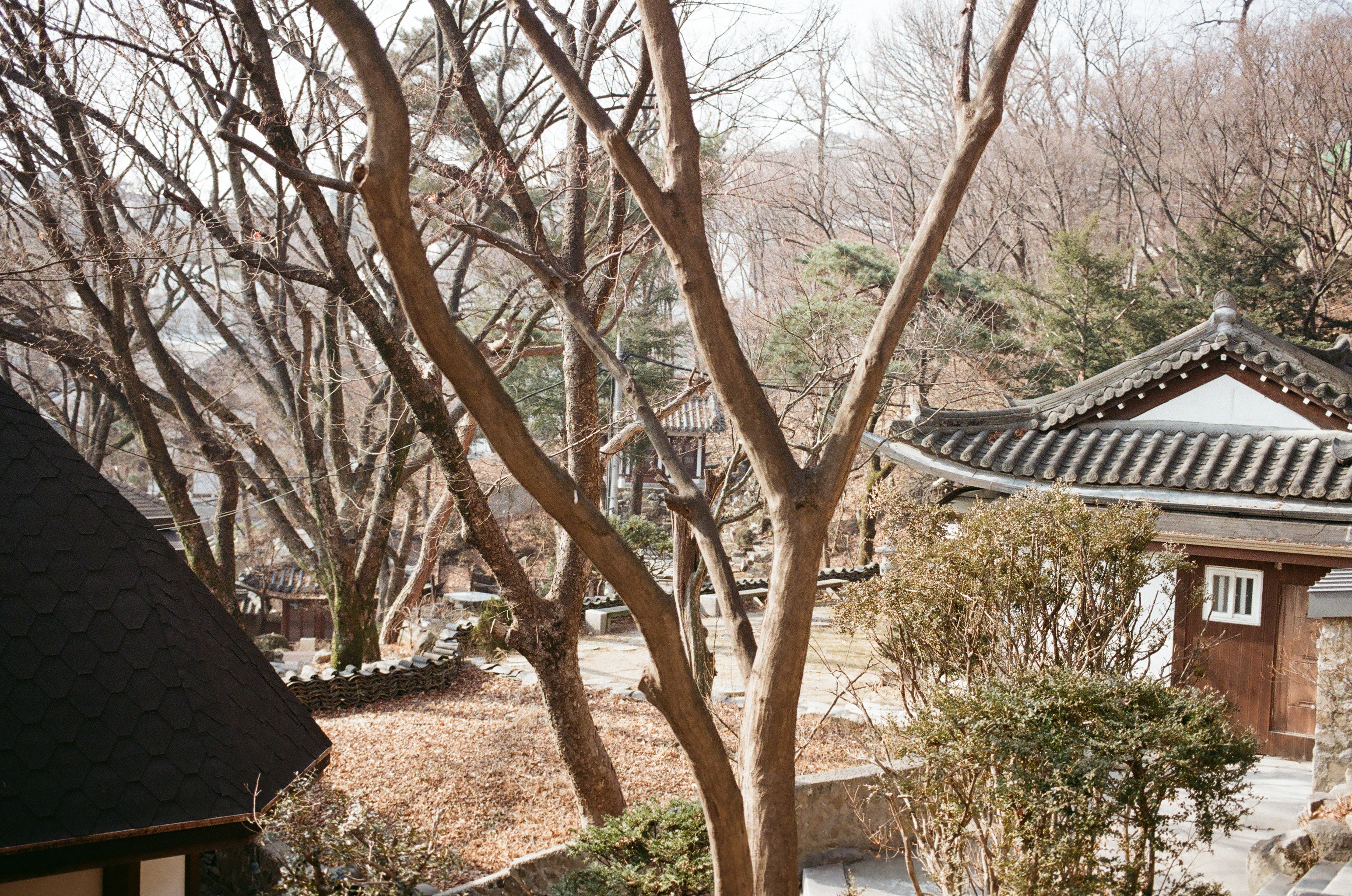 서울