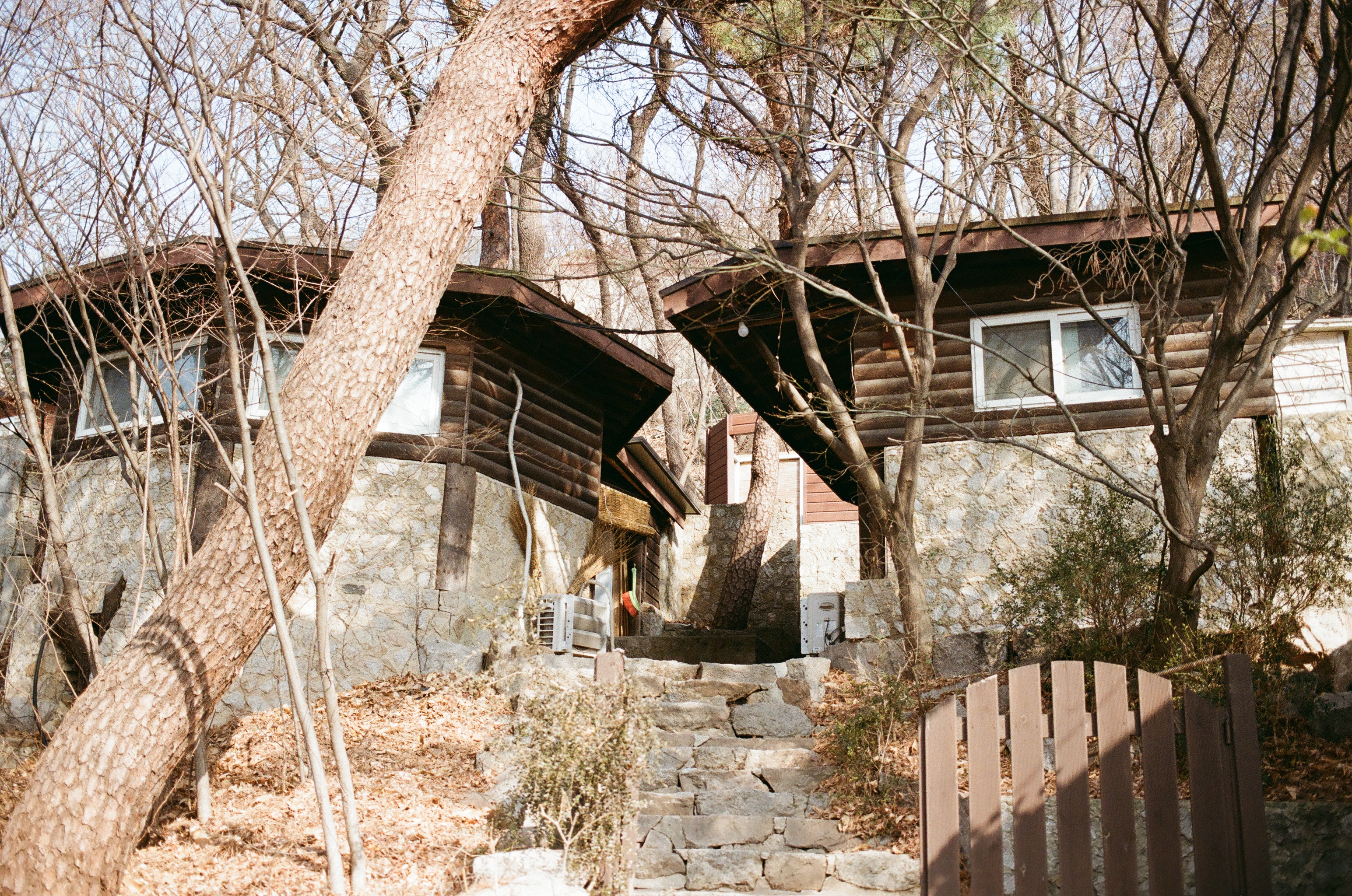 서울