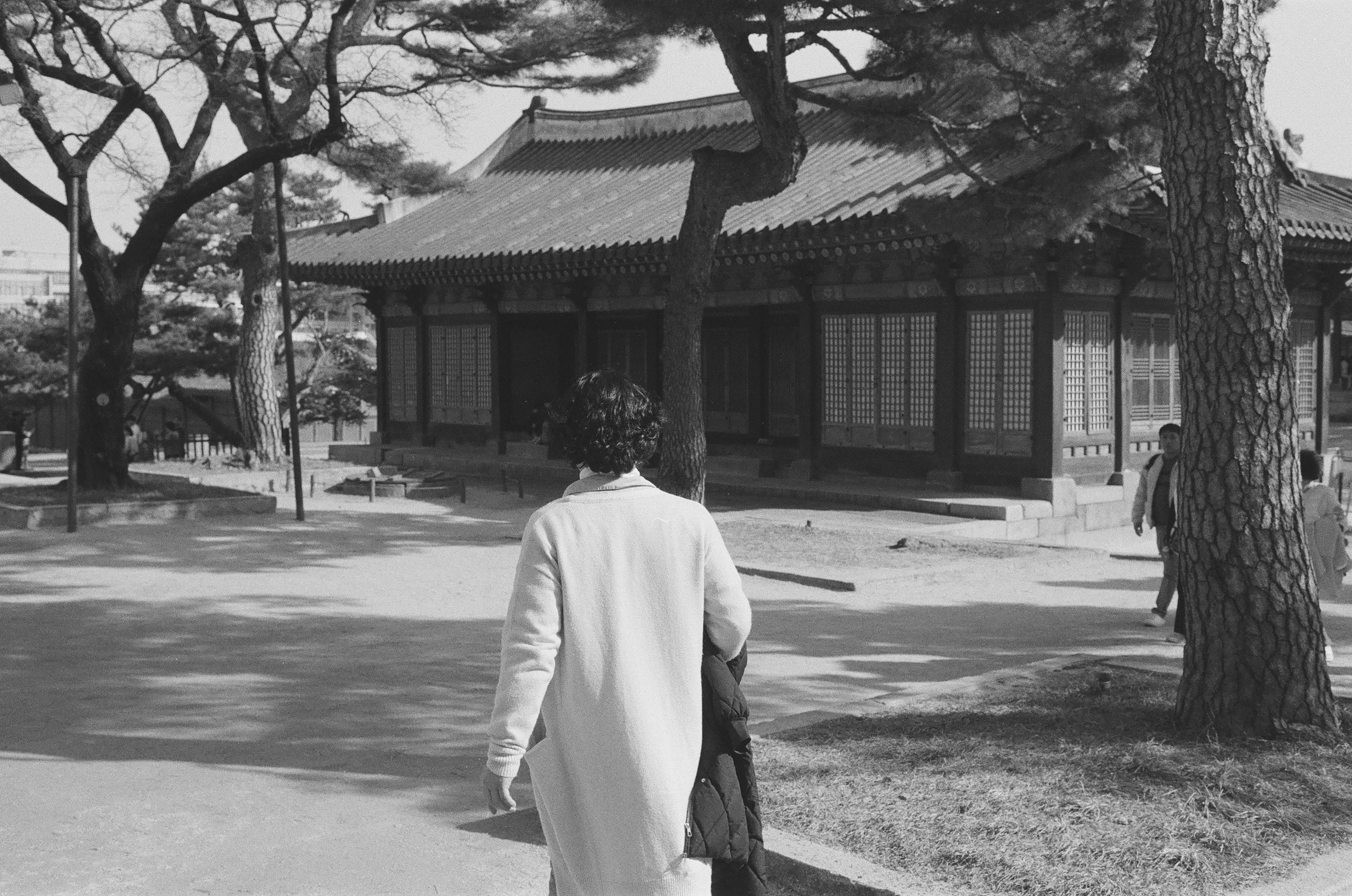 2026. 종로