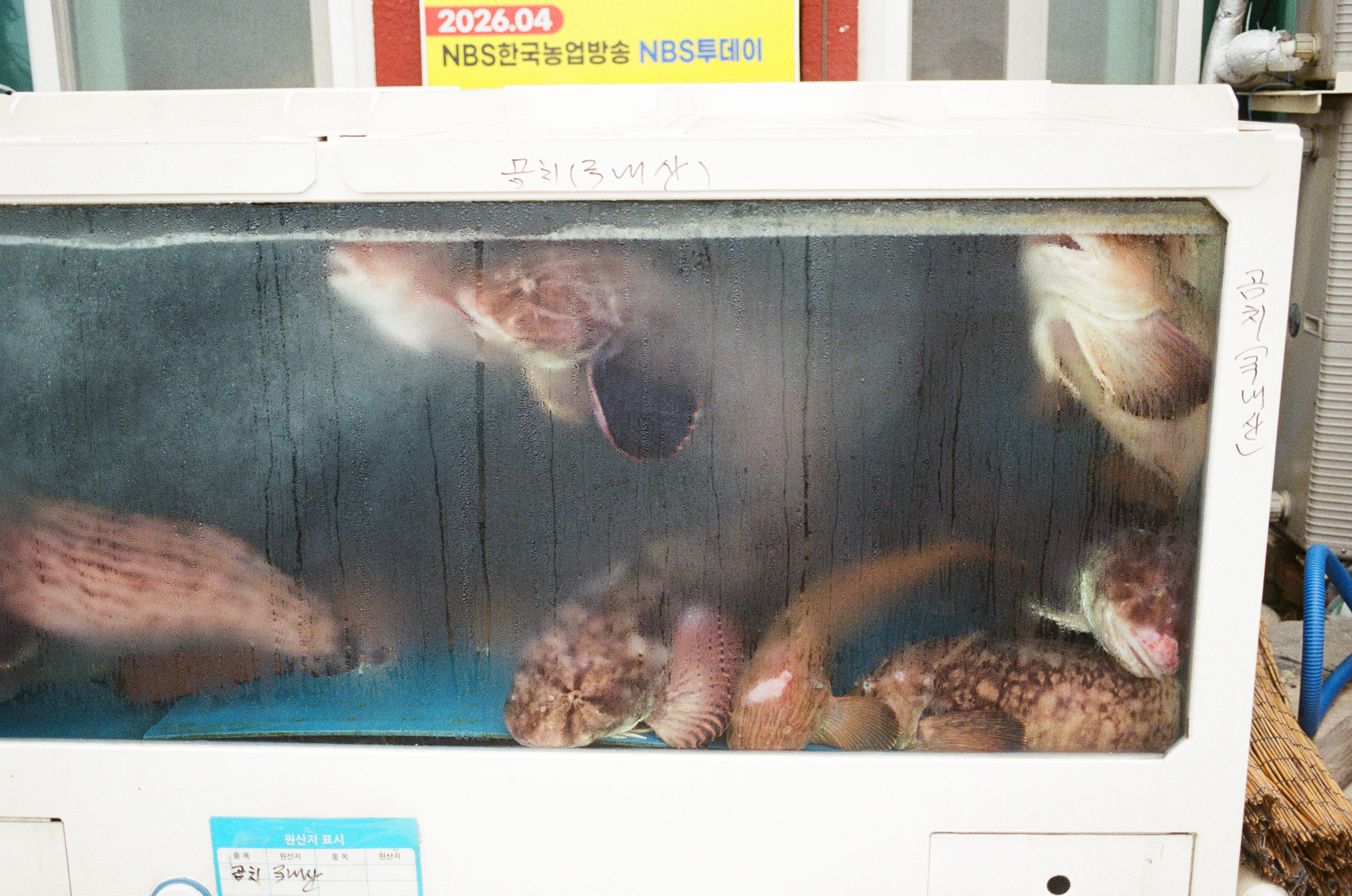 2026.묵호