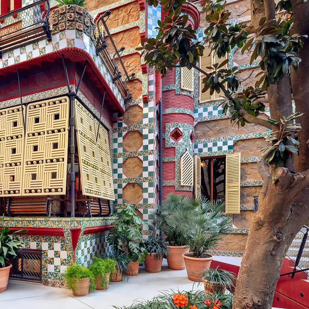Façade de bâtiment ornée avec des carreaux colorés, des volets à motifs et diverses plantes en pot ; arbre au premier plan.