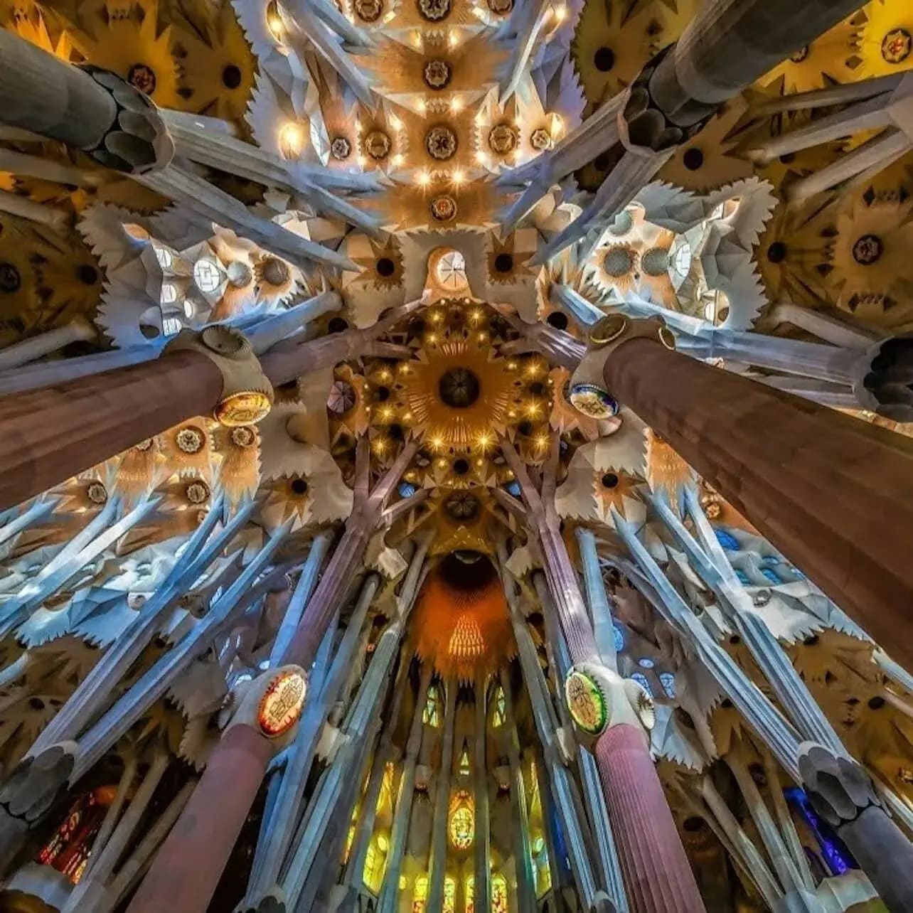 Soffitto interno della Sagrada Família a Barcellona, che mostra imponenti colonne di pietra che si ramificano come alberi e un soffitto geometrico pieno di luce con toni dorati caldi e blu.