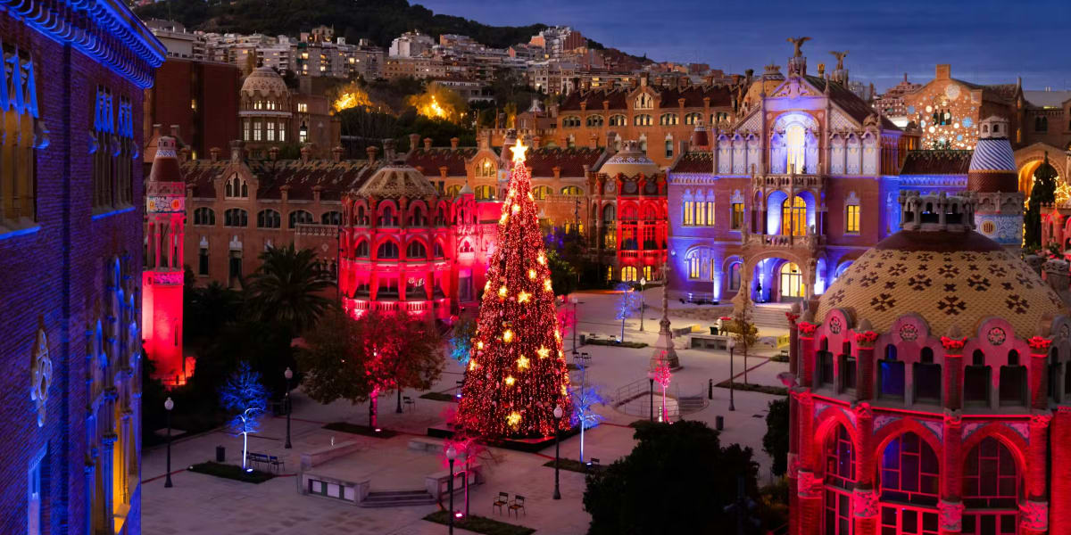 Les Llums de Sant Pau: Jardí de Nadal