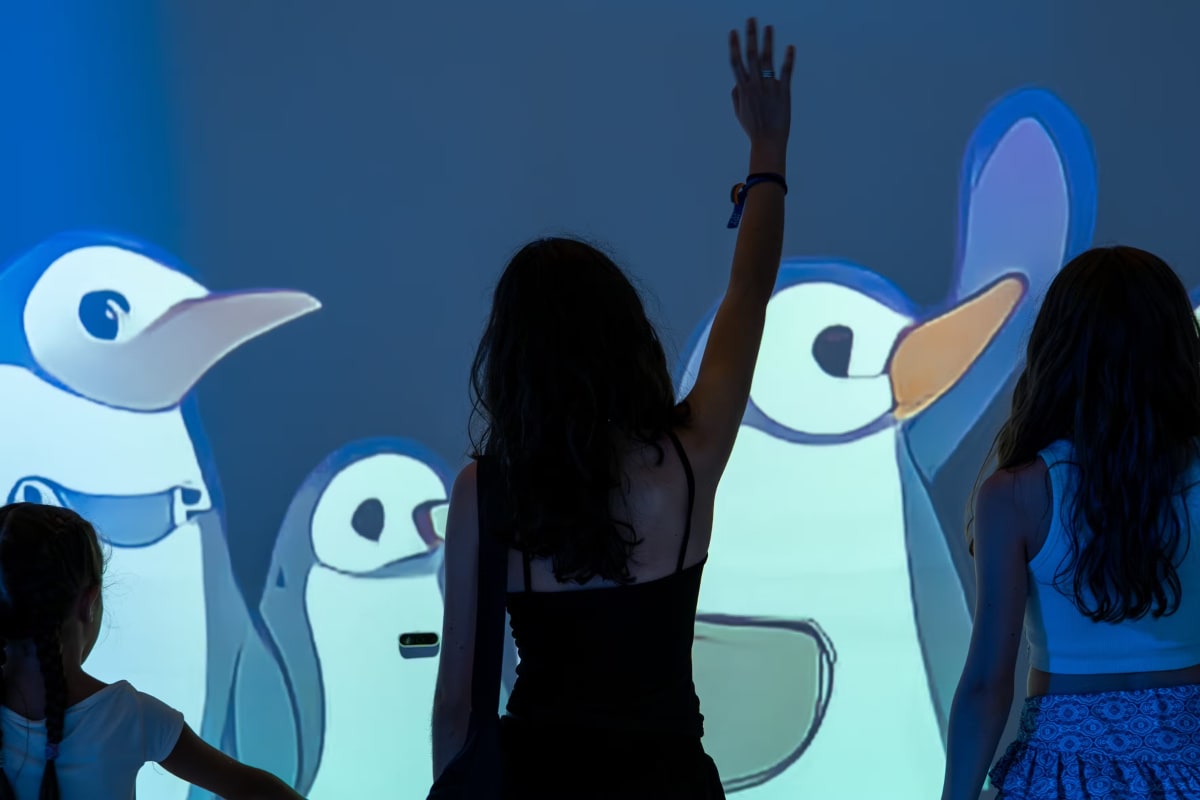 Antarctica Experience