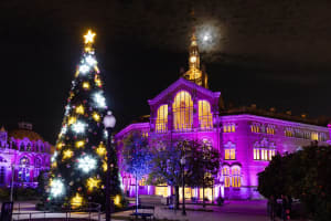 Les Llums de Sant Pau: Jardí de Nadal 2