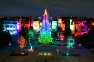 Les Llums de Sant Pau: Jardí de Nadal 5