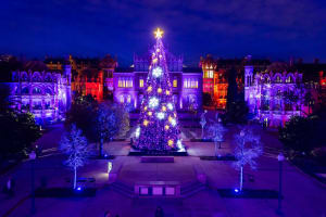 Les Llums de Sant Pau: Jardí de Nadal 6