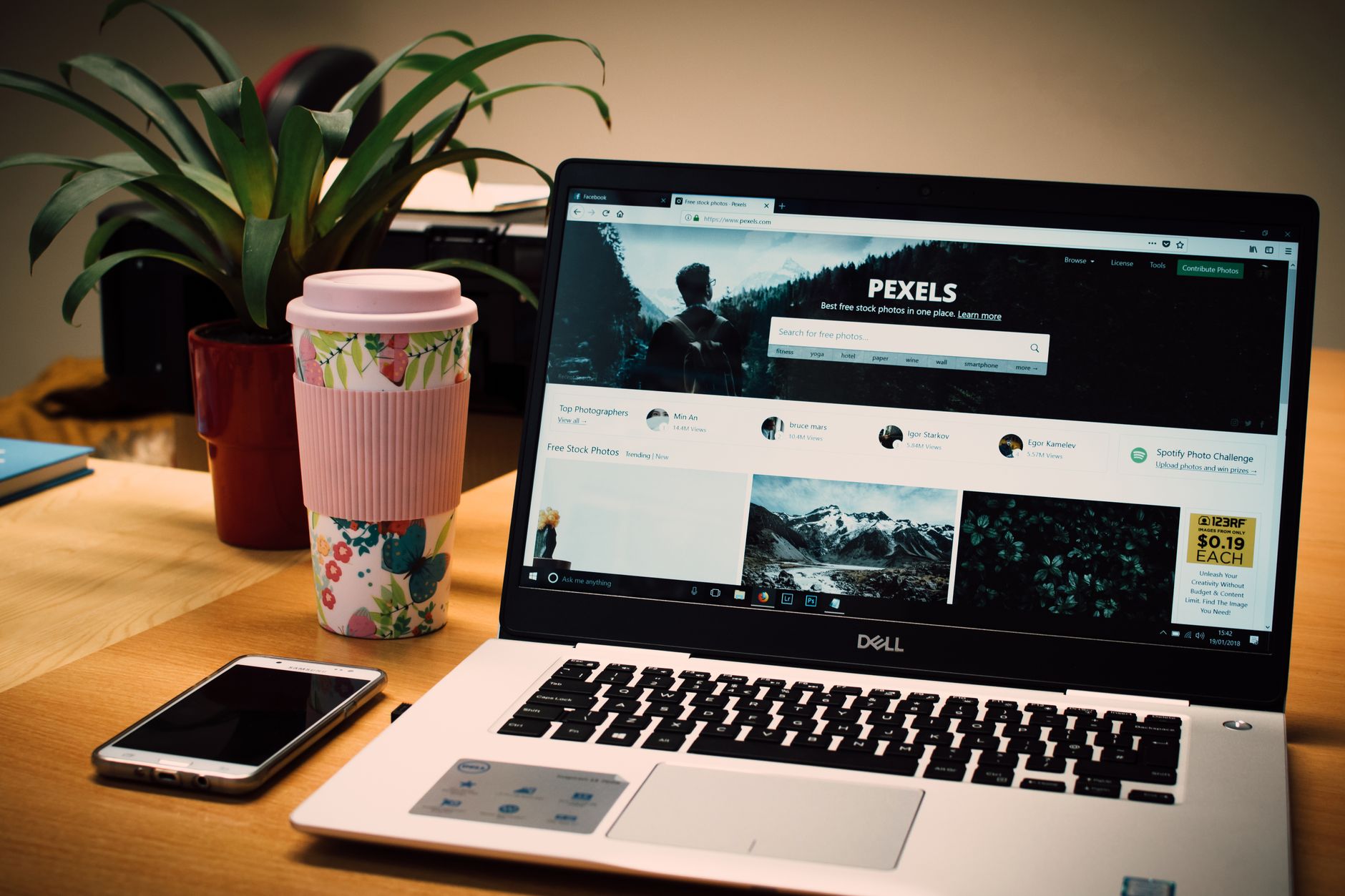 Dashboard WP Rocket — tampilan pengaturan caching plugin WordPress yang user-friendly