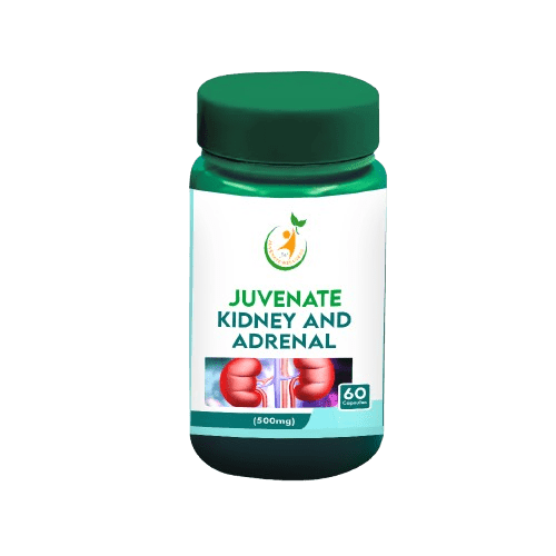 Juvenate Kidney and Adrenal - Image 1