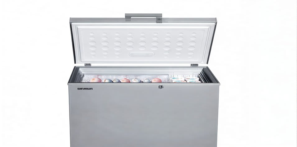 Skyrun BD-200A 200 Litres Chest Freezer â Fast Freezing, Anti-Rust Deep Freezer - Image 1